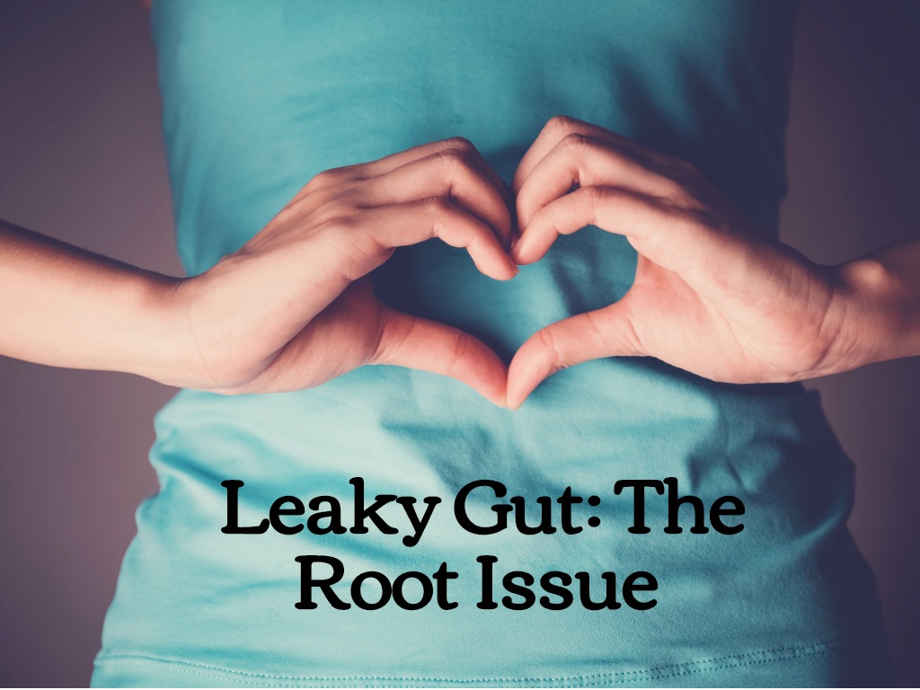 Leaky Gut & Your Gut Microbiome